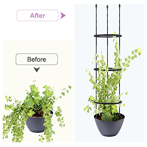 Garden Trellis, 2 Pack Shaped Plant Support, 48" Tomato Cages for Garden, Trellis for Potted Plants Climbing Plants Outdoor Vine Pots Flower Vegetable with 18Pcs Plant Stakes, 6 Shape-adjustable Rings