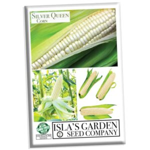 “silver queen” corn seeds for planting, 50+ heirloom seeds per packet, (isla’s garden seeds), non gmo seeds, botanical name: zea mays