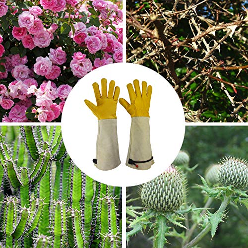 GLOSAV Gardening Gloves Thorn Proof for Rose Pruning & Cactus Trimming, Long Leather Garden Gloves for Women & Men (Small)