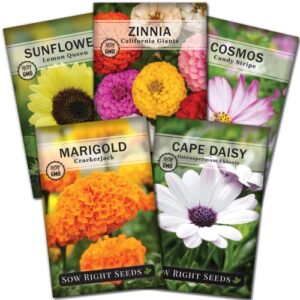 sow right seeds – flower seed garden collection for planting – 5 packets includes marigold, zinnia, sunflower, cape daisy, and cosmos – wonderful gardening gift
