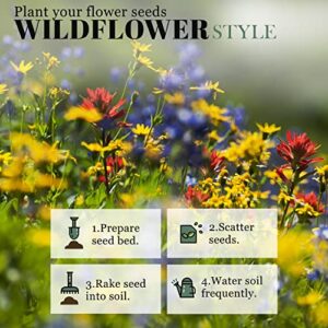 Sow Right Seeds - Flower Seed Garden Collection for Planting - 5 Packets Includes Marigold, Zinnia, Sunflower, Cape Daisy, and Cosmos - Wonderful Gardening Gift
