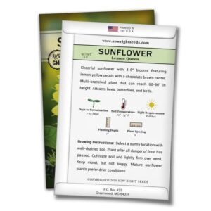 Sow Right Seeds - Flower Seed Garden Collection for Planting - 5 Packets Includes Marigold, Zinnia, Sunflower, Cape Daisy, and Cosmos - Wonderful Gardening Gift