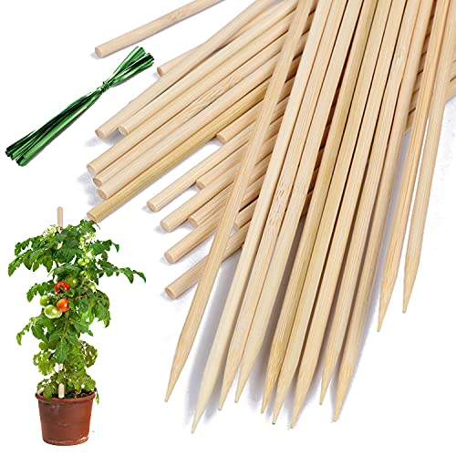 Bamboo Plant Stakes,HAINANSTRY Wood Plant Supports,Natural Bamboo Sticks for Plants/Floral/Potted Plant,Wooden Sign Posting Garden Sticks - 16 Inches 25 Pack