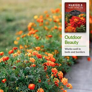 Survival Garden Seeds - French Sparky Marigold Seed for Planting - 3 Packs with Instructions to Plant and Grow Large Tagetes Patula Flowers in Your Home Vegetable Garden - Non-GMO Heirloom Variety