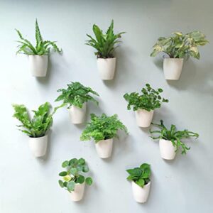 lalagreen wall planters for indoor plants – 10 pack, 5 inch self watering plastic wall pot, white wall mounted eco wall planter system living hanging wall planter trendy live wall garden for herb
