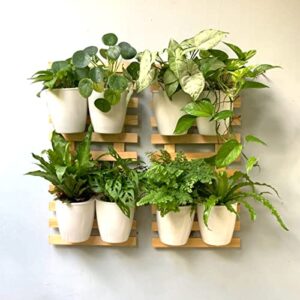 LaLaGreen Wall Planters for Indoor Plants - 10 Pack, 5 Inch Self Watering Plastic Wall Pot, White Wall Mounted Eco Wall Planter System Living Hanging Wall Planter Trendy Live Wall Garden for Herb