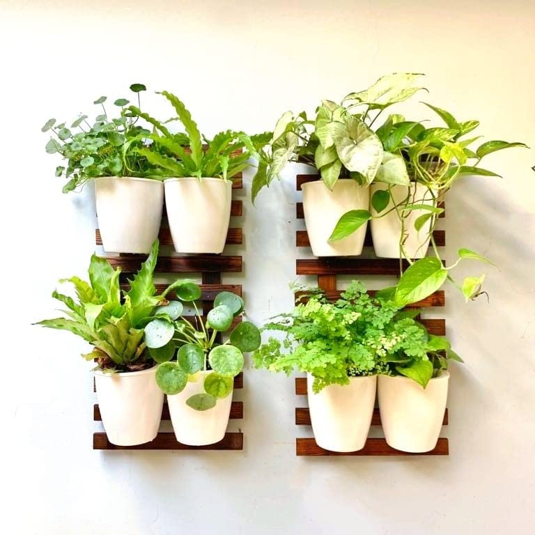 LaLaGreen Wall Planters for Indoor Plants - 10 Pack, 5 Inch Self Watering Plastic Wall Pot, White Wall Mounted Eco Wall Planter System Living Hanging Wall Planter Trendy Live Wall Garden for Herb