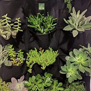 Delectable Garden Cloth 12 Pocket Hanging Vertical Garden Wall Planter for Yard Garden Home Decoration