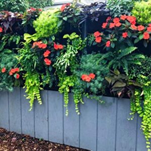 Delectable Garden Cloth 12 Pocket Hanging Vertical Garden Wall Planter for Yard Garden Home Decoration