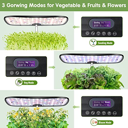 Hydroponics Growing System, Indoor Gardening System with LED Grow Light, 12 Pods Plant Germination Kit with Quiet Pump, Height Adjustable Indoor Grow Kit Countertop Garden Automatic Timer Black
