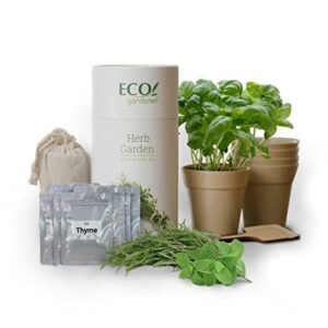 ecogardener herb garden kits – indoor herb garden kits – herb seed kits for indoor gardening – window or kitchen herb garden kits – 5 pack + 2 bonus herbs