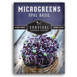 survival garden seeds opal basil microgreens for sprouting and growing – seed to sprout green leafy micro vegetable plants indoors – grow your own mini windowsill garden – non-gmo heirloom variety