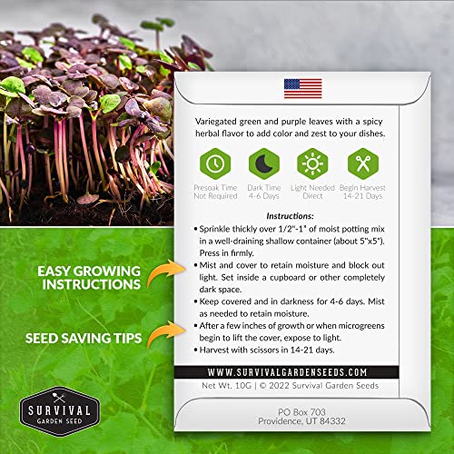 Survival Garden Seeds Opal Basil Microgreens for Sprouting and Growing - Seed to Sprout Green Leafy Micro Vegetable Plants Indoors - Grow Your Own Mini Windowsill Garden - Non-GMO Heirloom Variety