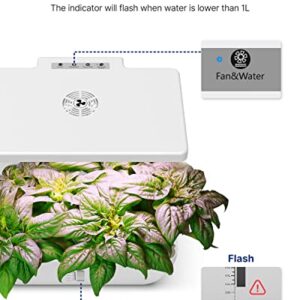 iDOO WiFi 12 Pods Hydroponic Growing System with 6.5L Water Tank, Smart Hydro Indoor Herb Garden Up to 14.5", Plants Germination Kit with Pump System, Fan, Grow Light for Home Kitchen Gardening, White