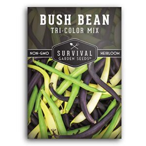Survival Garden Seeds - Tri-Color Bean Seed for Planting - Packet with Instructions to Plant and Grow Yellow, Purple, and Green Bush Beans in Your Home Vegetable Garden - Non-GMO Heirloom Variety