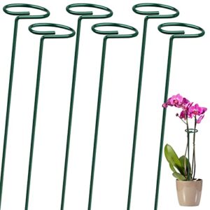 leobro 6 pack plant stakes for flowers, metal single stem plant support, garden plant stakes for amaryllis orchid lily rose tomatoes, dark green, 40.5 cm/15.9 inch