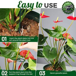 LEOBRO 6 Pack Plant Stakes for Flowers, Metal Single Stem Plant Support, Garden Plant Stakes for Amaryllis Orchid Lily Rose Tomatoes, Dark Green, 40.5 CM/15.9 INCH