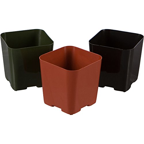 WH Garden Supply Pack of 2 Inch Plastic Flower Pots for Seedlings, or Succulents (100 Pots, Black)