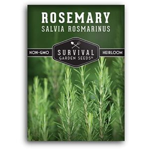 survival garden seeds – rosemary herb seed for planting – salvia rosmarinus – packet with instructions to plant & grow in your home vegetable garden – non-gmo heirloom variety