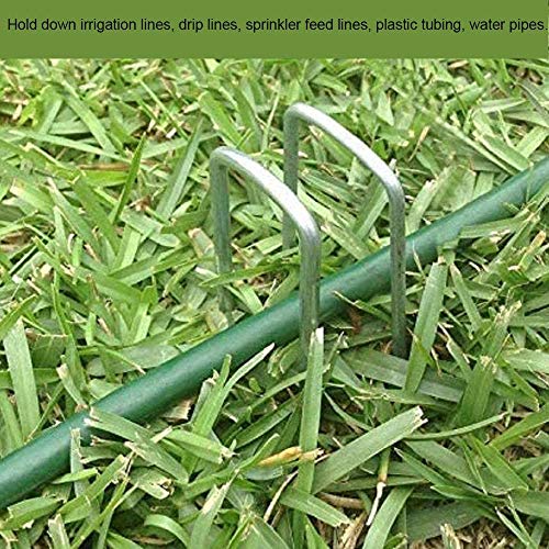 AAGUT Garden Stakes Pins, Landscape Staples 50 Pack 6 Inch 11-Gauge Galvanized Lawn Stake for Dog Fence, Weed Barrier Fabric, Ground Cover, Irrigation Tubing Soaker Hose, Chicken Wire