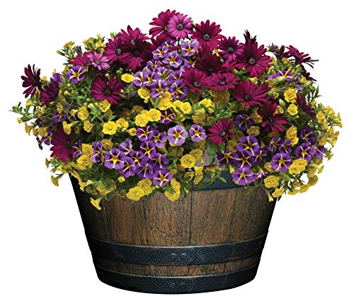 Classic Home and Garden S1027D-037Rnew Whiskey Barrel Planter, 20.5", Kentucky Walnut