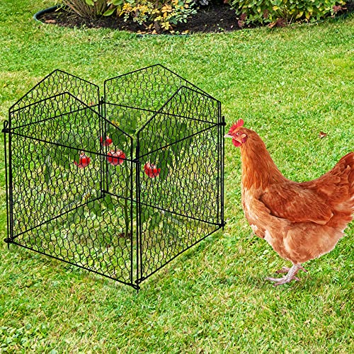DECOHS 4 Packs Garden Plant Protector Cage-Chicken Wire Cloche Plant Protectors-Wire Plant Protectors for Protecting Vegetables Plants Flowers Shrubs from Animals