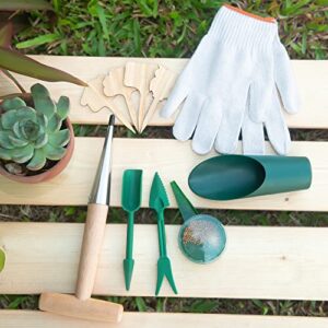 Potzya Planting Tool Kit, Garden Tool Set, Come with Wood Handle Stainless Steel Dibber with Scale, Seed Dispenser, Seed Planting & Soil Loosen, Bamboo Labels, Cultivation Migrate Succulents Bulb