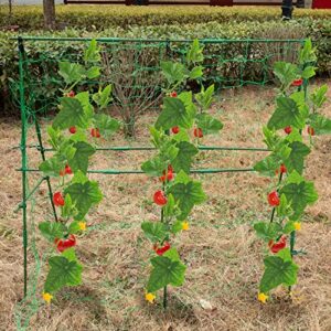 DECOHS A-Frame Metal Garden Trellis Set for Raised Bed-47x 47 Inch Detachable Cucumber Climbing Trellis with Net and Clips-Garden Climbing Trellis for Outdoor Plant Cucumber Flowers Vegetables