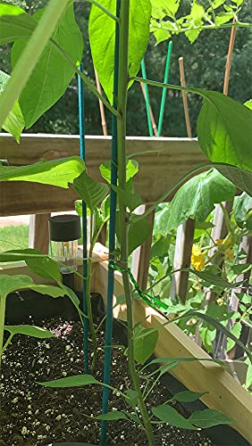 Garden Wood Stakes,HOUNANG Green Bamboo Plant Support Stakes,Flower/Orchid/Tomato Wooden Stakes for Gardening,Plant Stakes and Supports for Potted Plants - 25Pcs 18 Inches