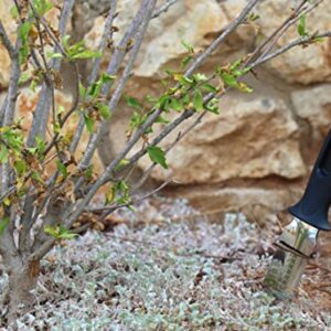 TABOR TOOLS H31A Hori Hori Garden Knife, Soil Knife, Landscaping and Weeding Tool, Ideal for Gardening, Hunting, Camping and Metal Detecting, with Strong PU Leather Sheath and Stainless Steel Blade.