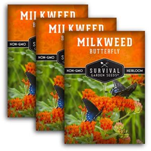 butterfly milkweed seeds for planting – 3 packs with instructions to grow asclepias tuberosa – attract butterflies & help conservation – non-gmo heirloom open-pollinated – survival garden seeds