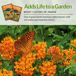 Butterfly Milkweed Seeds for Planting - 3 Packs with Instructions to Grow Asclepias Tuberosa - Attract Butterflies & Help Conservation - Non-GMO Heirloom Open-Pollinated - Survival Garden Seeds