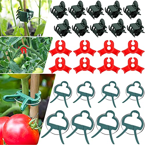 RSZBUMY 80pcs Mixed Plant Clips Variety for Tomato, Climbing Plants Support, Garden Clips for Tomato ect, Plant Training Clips, Orchid Clips