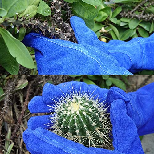 GLOSAV Professional Thorn Proof Gardening Gloves for Women and Men Rose Pruning & Cactus Trimming, Long Sleeve Heavy Duty Ladies Garden Gloves, Cowhide Leather (Small, Blue)