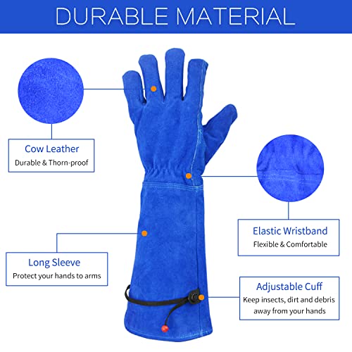 GLOSAV Professional Thorn Proof Gardening Gloves for Women and Men Rose Pruning & Cactus Trimming, Long Sleeve Heavy Duty Ladies Garden Gloves, Cowhide Leather (Small, Blue)