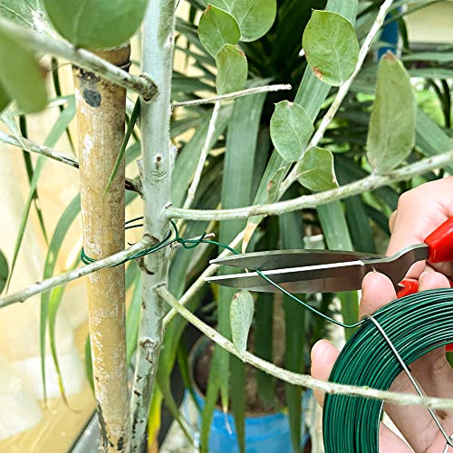 328 Feet Plant Twist Tie Plastic Coated Soft Garden Metal Wire 1mm Thin for Gardening, Home, Office (Green)