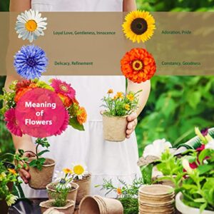 Indoor Daisy Garden Starter Kit, 4 Daisy Flower Seeds Planting Set with Complete Gardening Kit & Wooden Box, Growing into Shasta Daisy, Cornflower, Sunflower, Zinnia