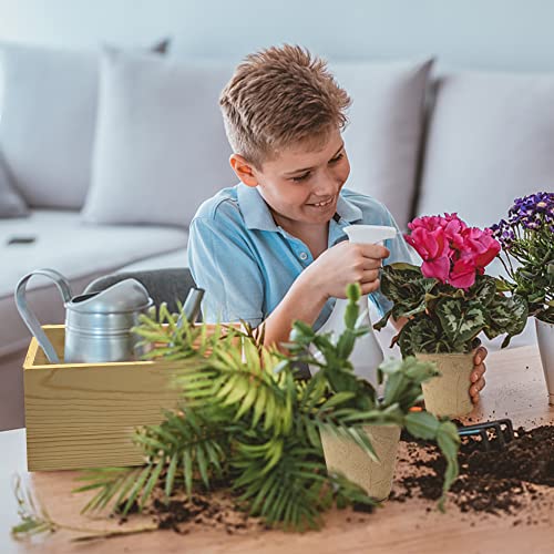 Indoor Daisy Garden Starter Kit, 4 Daisy Flower Seeds Planting Set with Complete Gardening Kit & Wooden Box, Growing into Shasta Daisy, Cornflower, Sunflower, Zinnia