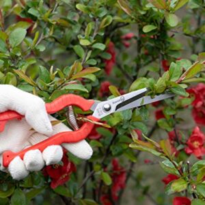 Sanung 2 PACK Multifunctional Thin Fruit Scissors, P-905 Garden Pruner Shears Cutters with Anti-Slip Grip High-Grade Spring Lock Garden Pruner for Garden Fruits Vegetables Plants Flowers