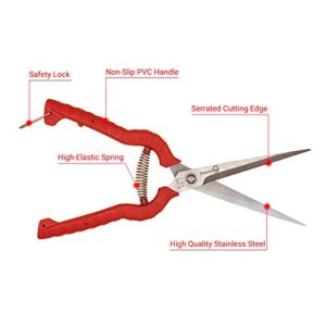 Sanung 2 PACK Multifunctional Thin Fruit Scissors, P-905 Garden Pruner Shears Cutters with Anti-Slip Grip High-Grade Spring Lock Garden Pruner for Garden Fruits Vegetables Plants Flowers