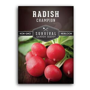survival garden seeds – champion radish seed for planting – packet with instructions to plant and grow red radishes in your home vegetable garden – non-gmo heirloom variety