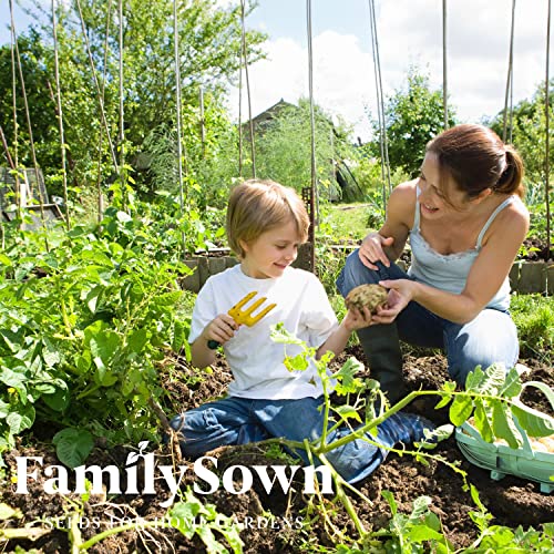 Cover Crops by Family Sown - 10 Variety Mix of Cover Crop Seeds Ideal for Home Gardens | Non-GMO, Open Pollinated, Made in The USA (1 LB)