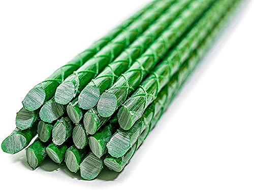 Eco Friendly 4-FT Fiberglass Garden Stakes, Tomato Stakes, Plant Stakes (Pack of 20), 0.31-Inch Dia