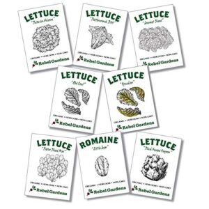 organic lettuce seeds for planting – 8 leafy greens heirloom non gmo home garden vegetable varieties