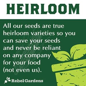 Organic Lettuce Seeds for Planting - 8 Leafy Greens Heirloom Non GMO Home Garden Vegetable Varieties