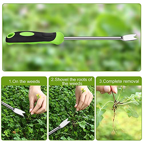 Hand Weeder Tool Garden Weeding Tool Gardening Weeder Tool with Ergonomic Handle, Stainless Steel Garden Lawn Farmland Transplant Gardening Plant Tool（2 Pronged Fork, 2 Pieces）