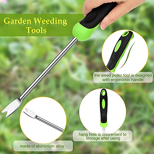 Hand Weeder Tool Garden Weeding Tool Gardening Weeder Tool with Ergonomic Handle, Stainless Steel Garden Lawn Farmland Transplant Gardening Plant Tool（2 Pronged Fork, 2 Pieces）