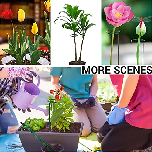 SUNYAY 12 inch Green Plant Support Stakes Metal Garden Stakes Flower Support Stakes and Rings for Amaryllis Orchid Lily Sunflower Rose Narcissus 10 pcs