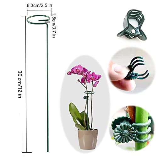 SUNYAY 12 inch Green Plant Support Stakes Metal Garden Stakes Flower Support Stakes and Rings for Amaryllis Orchid Lily Sunflower Rose Narcissus 10 pcs