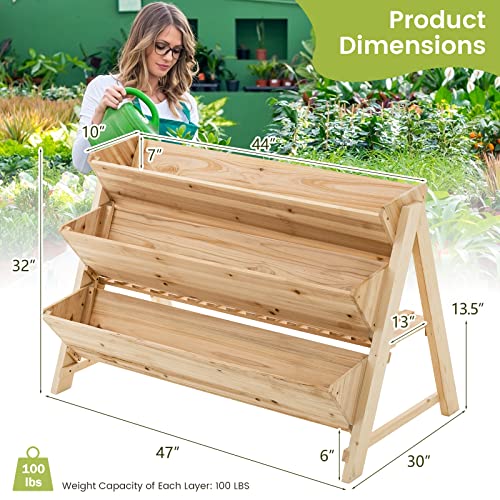 Safstar 3-Tier Vertical Garden Bed, Wooden Elevated Planter Bed with Legs, Storage Shelf, 2 Hooks, Raised Bed Kit for Flower Vegetable Herb, Outdoor Plant Box Stand for Yard Garden Balcony Planter